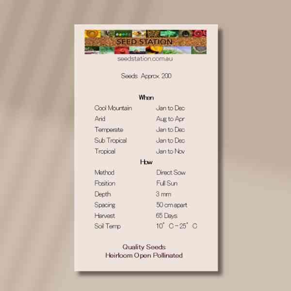 red-giant-back-1 red-giant-back-1