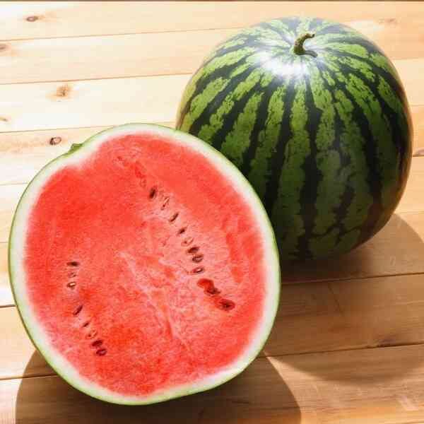 watermelon-crimson-sweet-seeds-3 watermelon-crimson-sweet-seeds-3