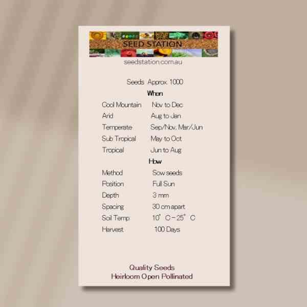 flower-stock-back flower-stock-back