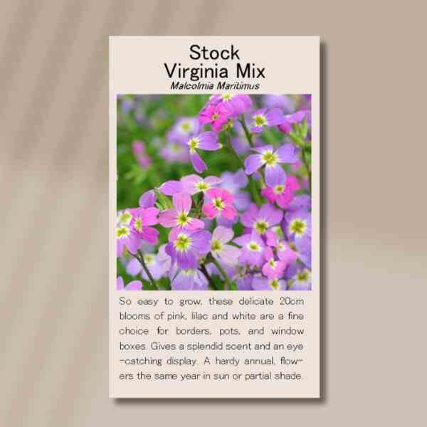 flower-stock-front flower-stock-front