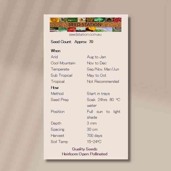 native-iris-back-2 native-iris-back-2