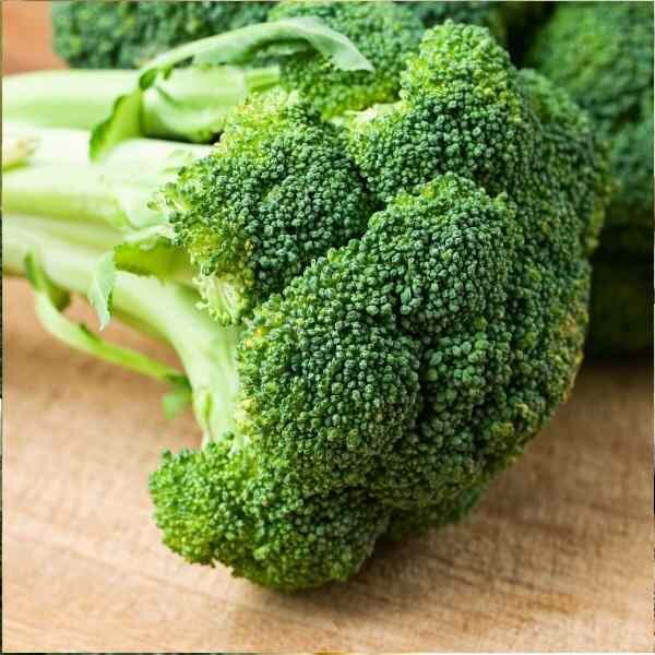 broccoli-di-cicco-seeds-6 broccoli-di-cicco-seeds-6