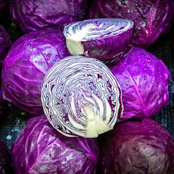 cabbage-red-acre-seeds=1 cabbage-red-acre-seeds=1