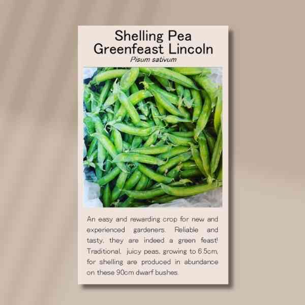 greenfeast-lincoln-front greenfeast-lincoln-front