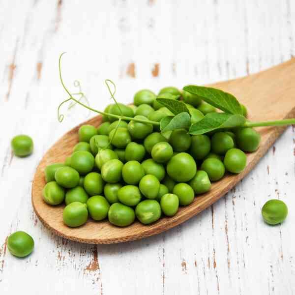 massey-gem-seeds-11 massey-gem-seeds-11