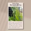 snow-pea-mammoth-front