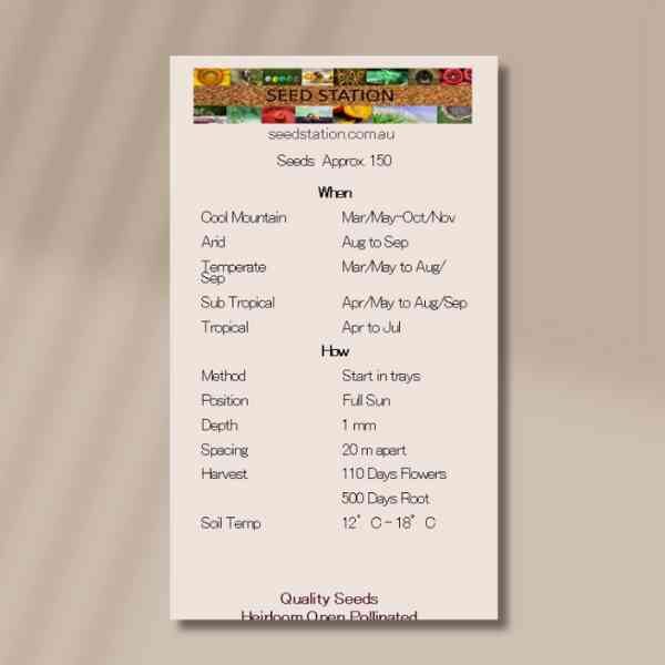 valerian-front valerian-front