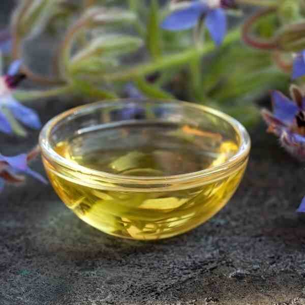 borage-seeds-6 borage-seeds-6