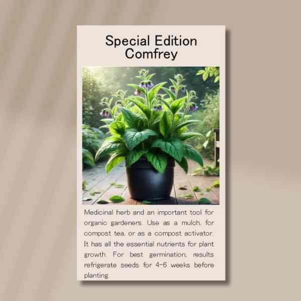 comfrey-front comfrey-front