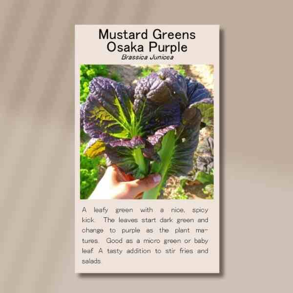 osaka-front (1) osaka-front (1)