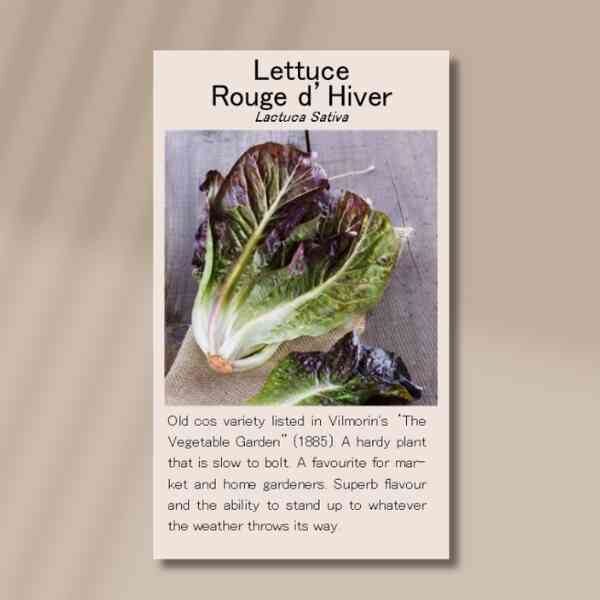 rouge-d-hiver-front rouge-d-hiver-front