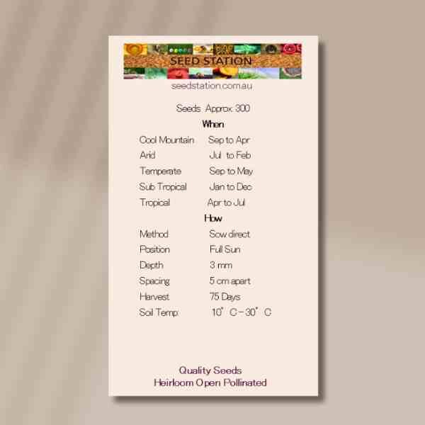 chives-back chives-back