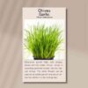 chives-front