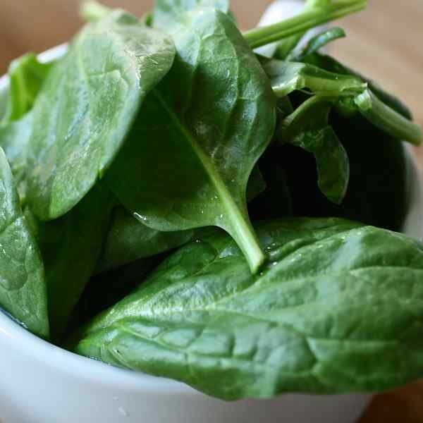 spinach-perpetual-seeds-2 spinach-perpetual-seeds-2