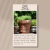 thyme-vulgare-front