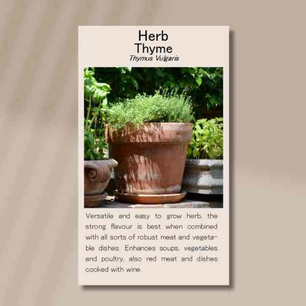 thyme-vulgare-front thyme-vulgare-front