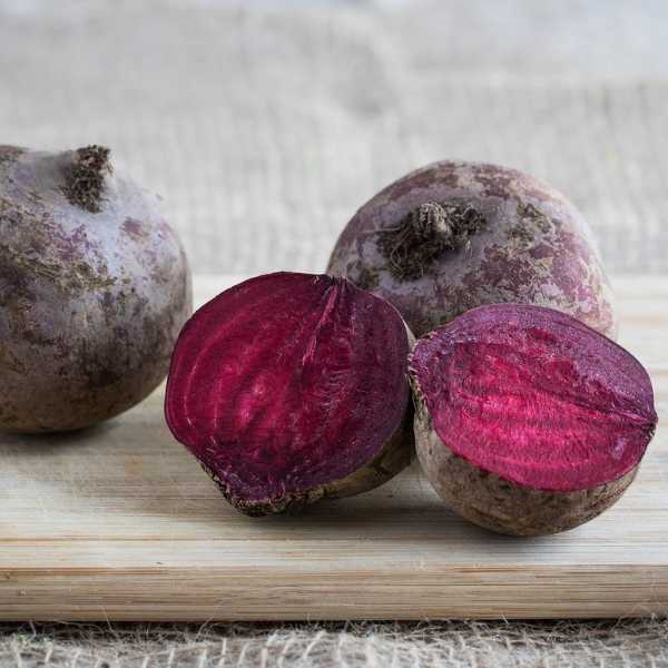 Seed: Saving Beetroot