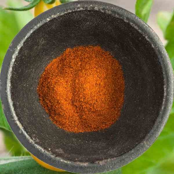 chilli-cayenne-seeds-3 chilli-cayenne-seeds-3