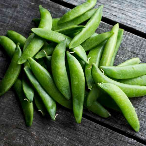 sugar-snap-pea-bush-1 sugar-snap-pea-bush-1