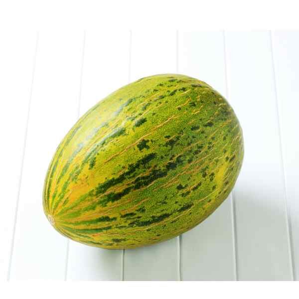 rockmelon-piel-de-sapo-seeds-4 rockmelon-piel-de-sapo-seeds-4