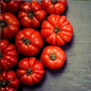 Tomato Rouge de Marmande