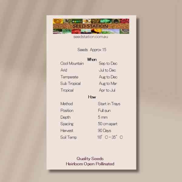 chilli-anaheim-back chilli-anaheim-back