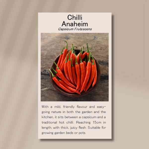 chilli-anaheim-front chilli-anaheim-front
