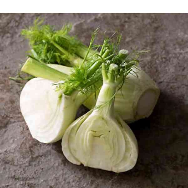 fennel-florence-seeds-3 fennel-florence-seeds-3