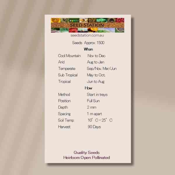 nettle-back-2 nettle-back-2