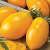 tomato-golden-roma-seeds-1