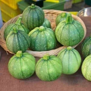 Zucchini Ronde de Nice