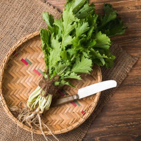 mizuna-green-streak-seeds-2 mizuna-green-streak-seeds-2