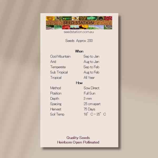 basil-gecofure-back basil-gecofure-back