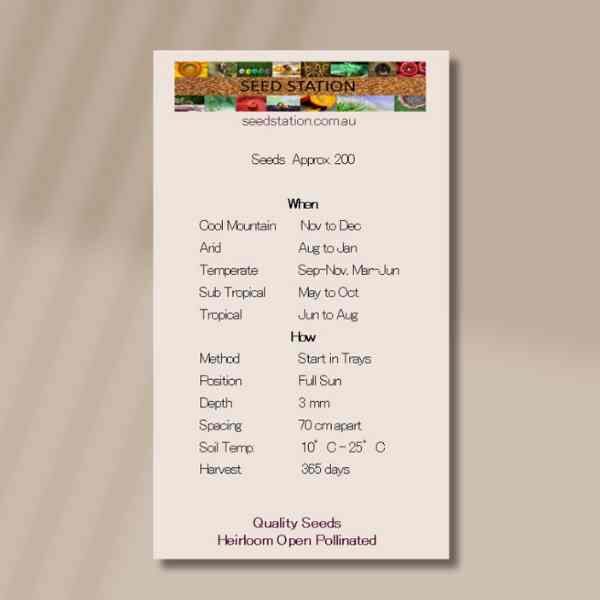 lavender-vera-back=2 lavender-vera-back=2