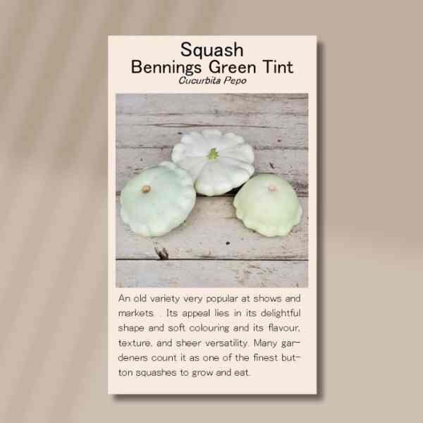 bennings-green-tint-front bennings-green-tint-front