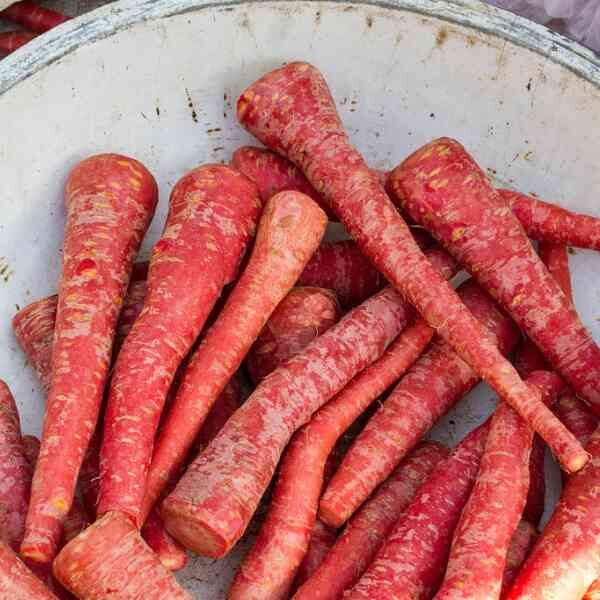 carrot-atomic-red-seeds-2 carrot-atomic-red-seeds-2