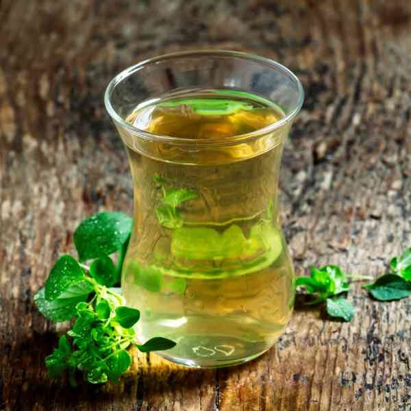 greek-oregano-seeds-5 greek-oregano-seeds-5