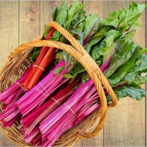 Silverbeet Magenta