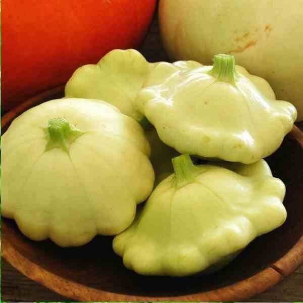 squash-bennings-green tint-seeds-1