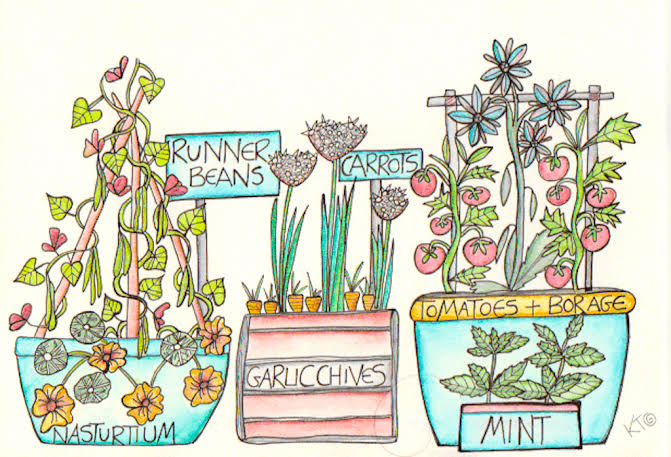 Companion Plants