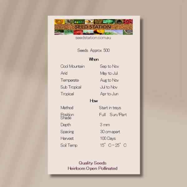 wild-thyme-back wild-thyme-back