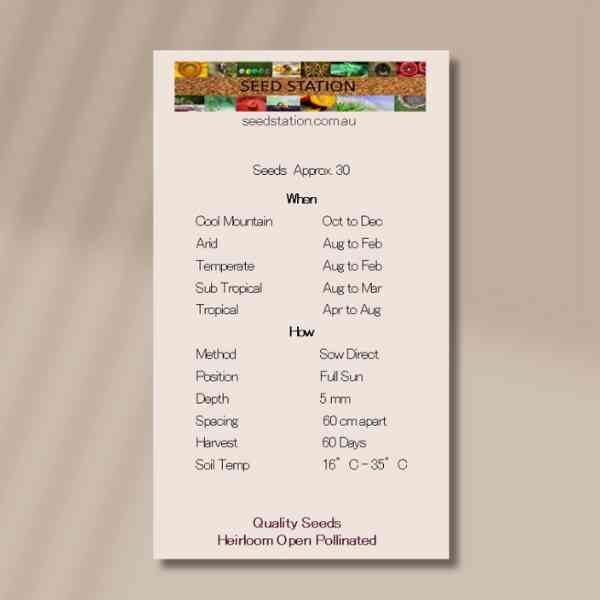 cucumber-national-pickler-back cucumber-national-pickler-back