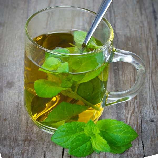 herb-peppermint-seeds-2 herb-peppermint-seeds-2