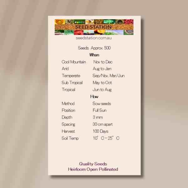 miss-jekyll-back miss-jekyll-back