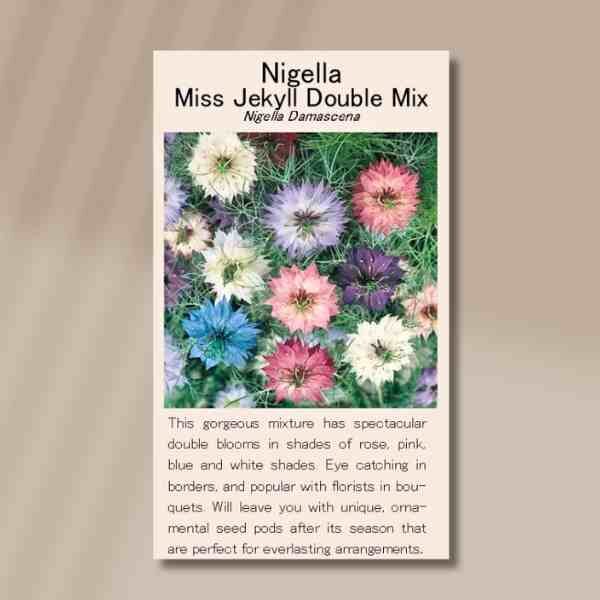 miss-jekyll-front miss-jekyll-front