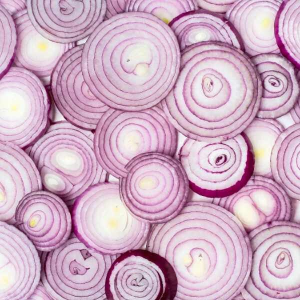 onion-amposta-purple-rings-seeds onion-amposta-purple-rings-seeds