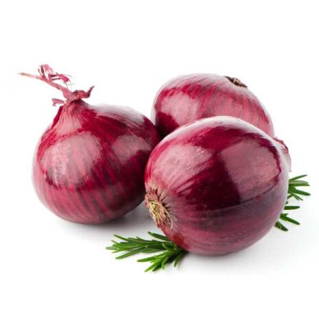 onion-amposta-purple-seeds