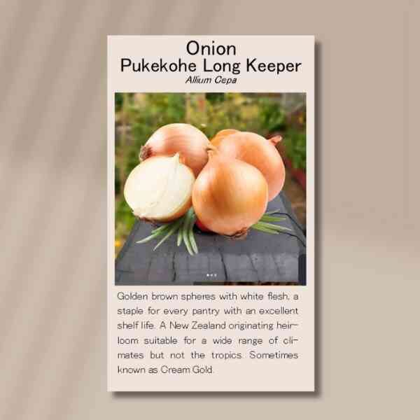 pukekohe-front pukekohe-front