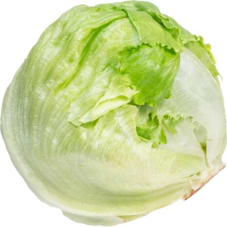 lettuce-iceburg-seeds2