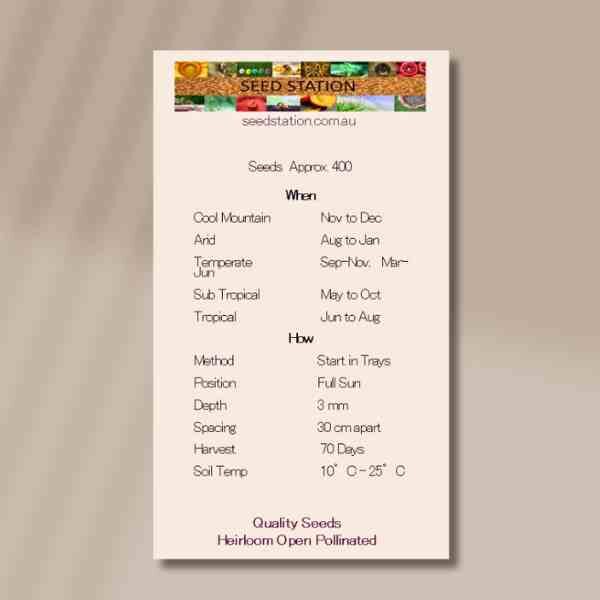 wee-willie-back wee-willie-back